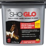 Manna Pro Sho-Glo Supplement for Horses | Complete Vitamin & Mineral Supplement for Healthy Skin & Coat | 5 Pounds