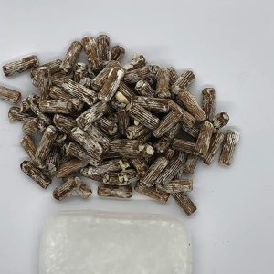 Spawn and Wax Combo - Oyster Mushrooms Mushroom Mycelium Plug Spawn - 100 Count Plugs - 3oz Wax Grow Edible Gourmet & Medicinal Oyster Fungi On Trees & Logs